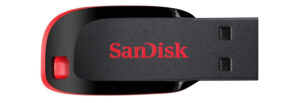 SanDisk Cruzer Blade 32 GB USB Flash Drive - buyfite